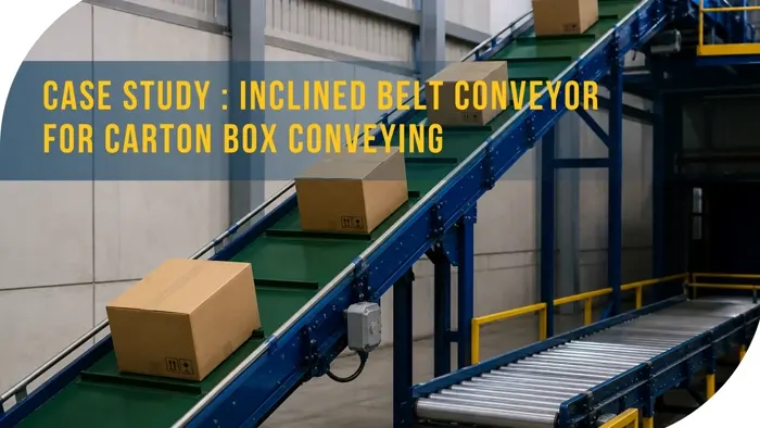 Inclined Belt Conveyor for Carton Box Conveying