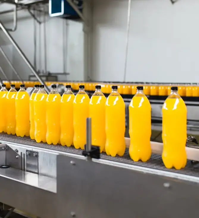 Food Processing